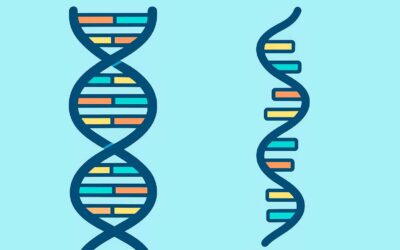 Diferencias en ADN y ARN: explicación clara y ejemplos para entenderlos fácilmente